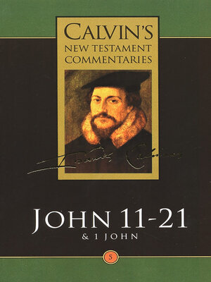 cover image of John 11-21 & 1 John